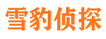 江阴外遇调查取证